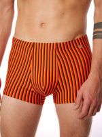 Bruno Banani Stripes Effects: Hipshort, orange/rot/schwarz