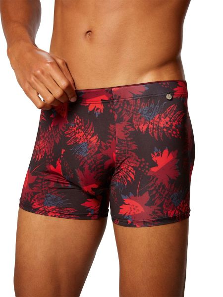 Bruno Banani Red Forest: Short, weinrot print