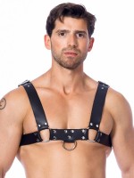 Leder-Harness mit Ringen, schwarz/silber