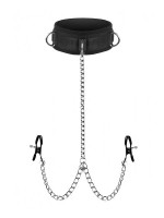 Master Series Submission Collar and Nipple Clamp Union: Halsfessel mit Nippelklemmen, schwarz/silber