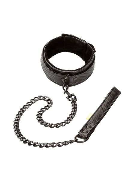 Boundless Collar & Leash: Halsband mit Leine, schwarz